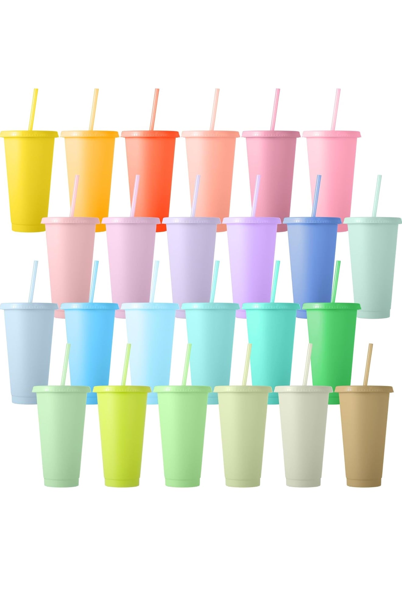 24oz Plastic Tumbler with lid and straw